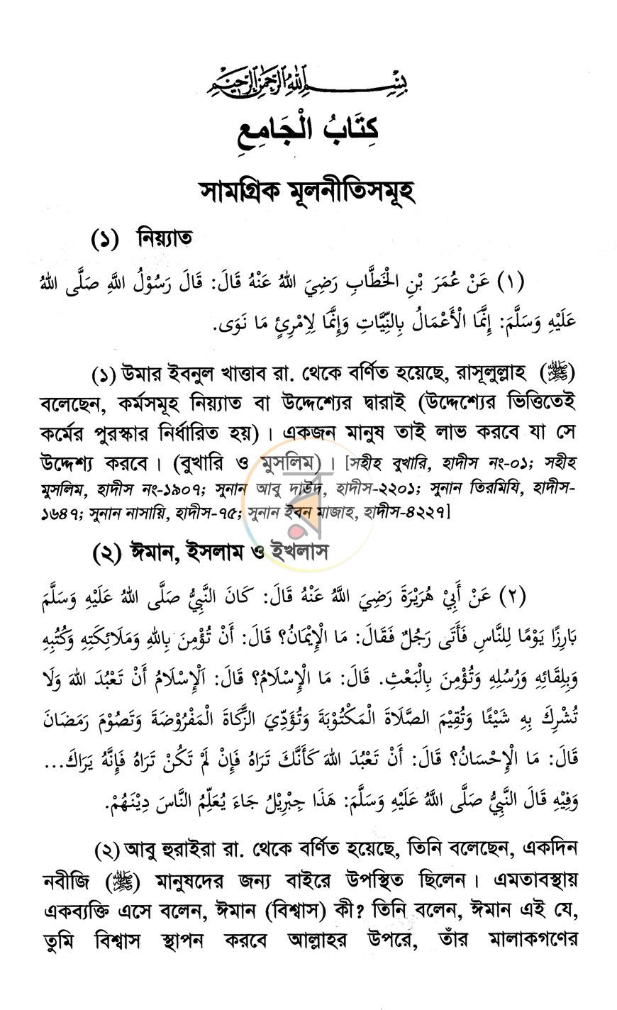 পাতা 11