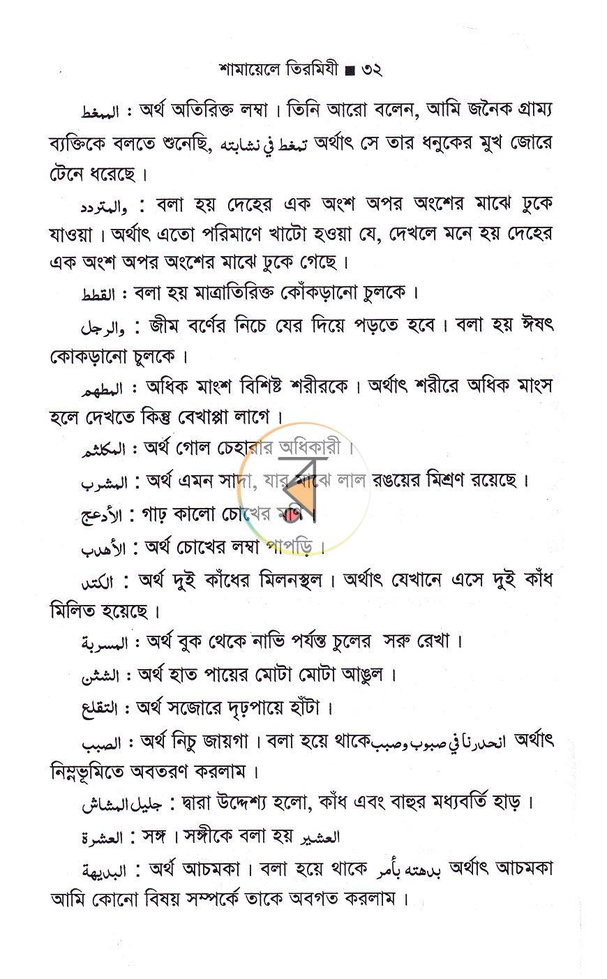 পাতা 11