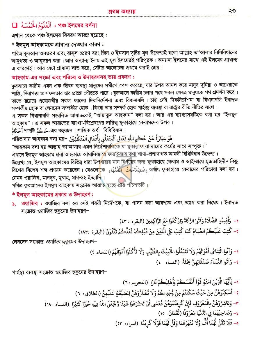 পাতা 8