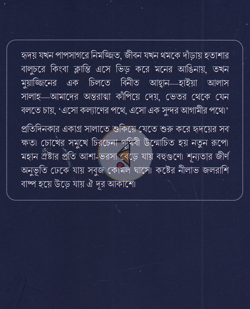 পাতা 12