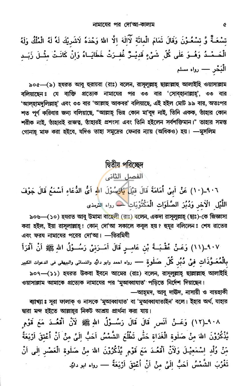 পাতা 8