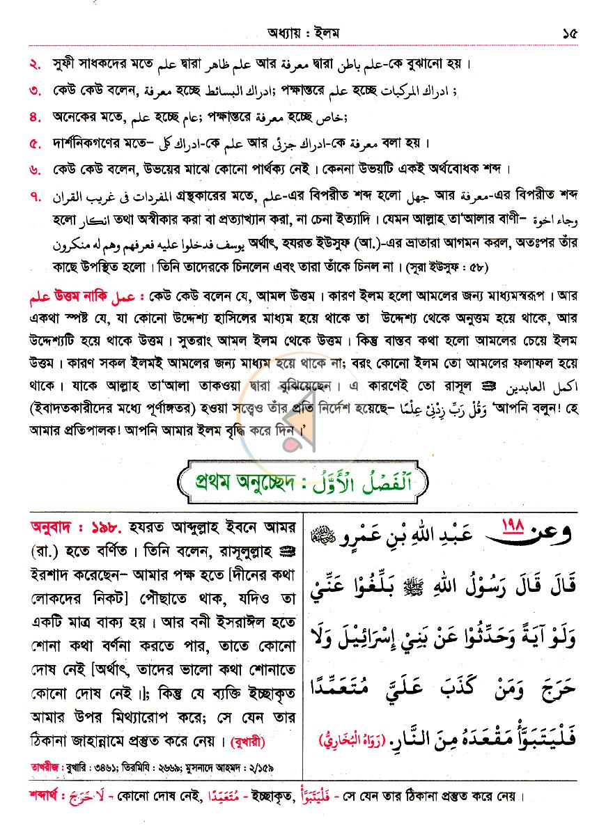 পাতা 13