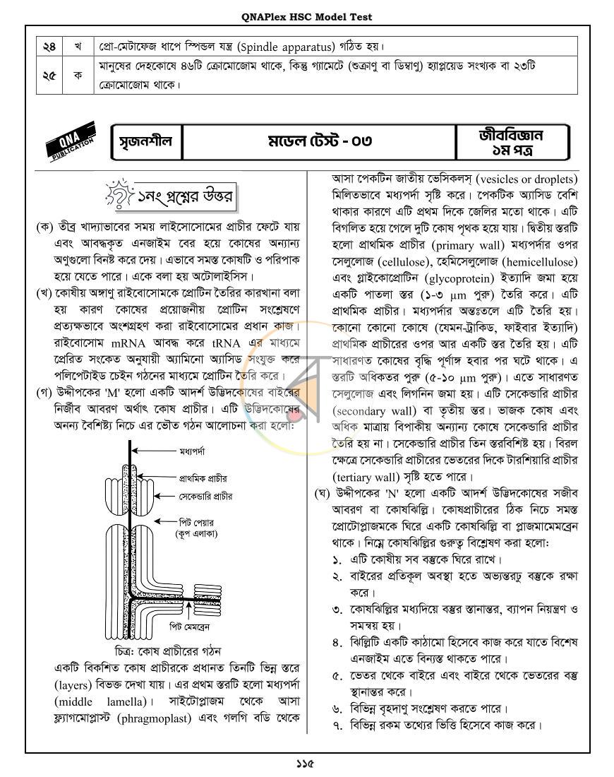 পাতা 24