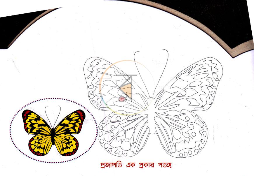 পাতা 2