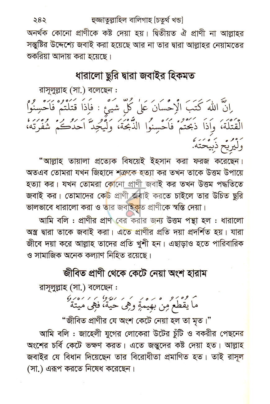 পাতা 10