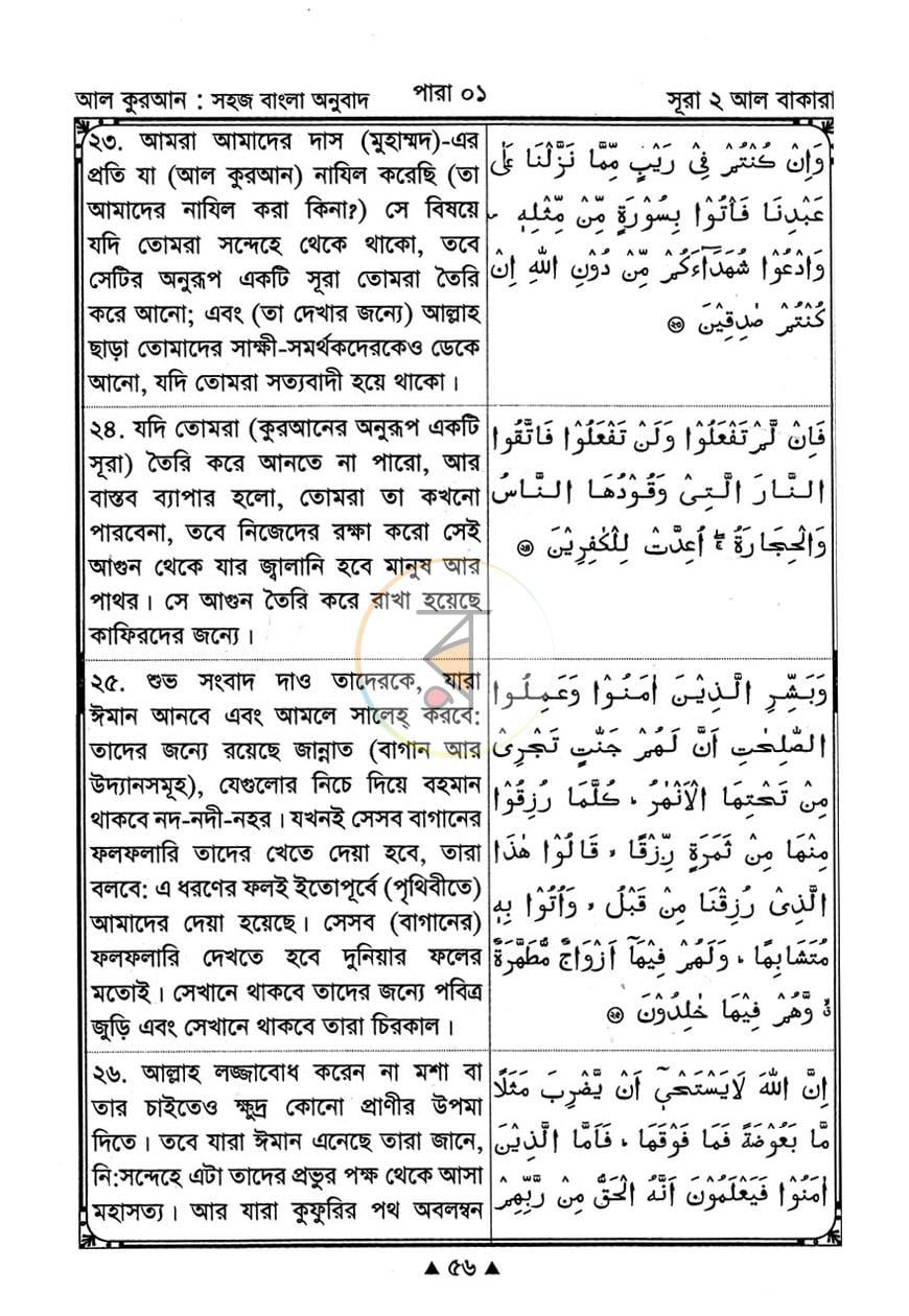 পাতা 11
