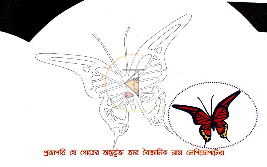 পাতা 3