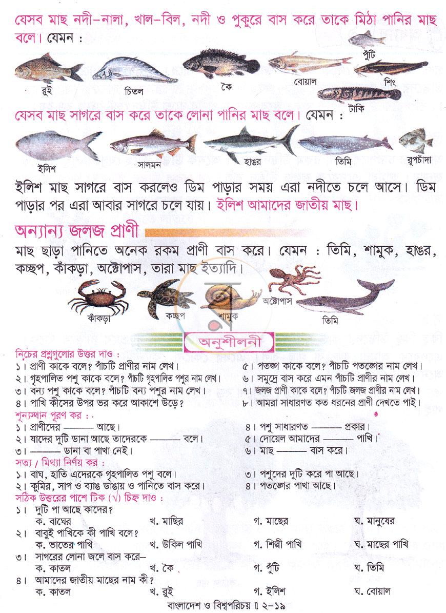 পাতা 8