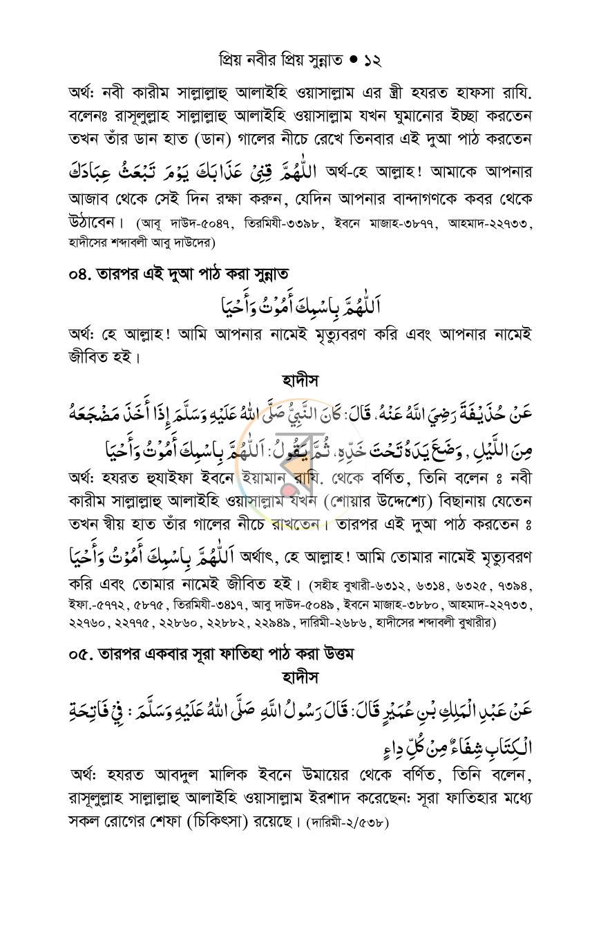 পাতা 11