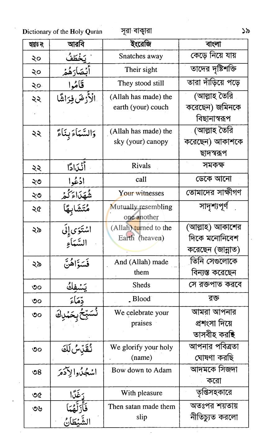 পাতা 11