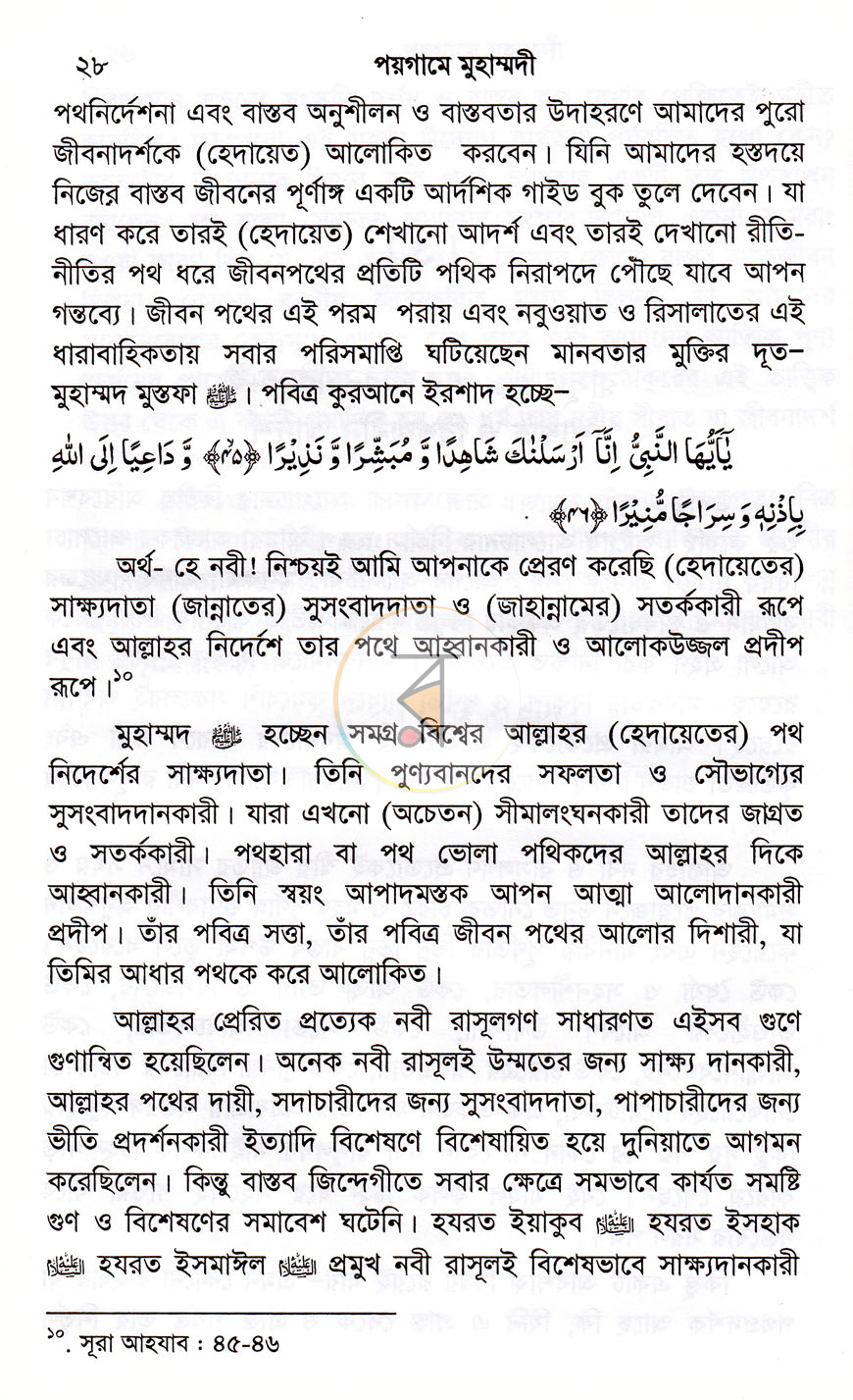 পাতা 8