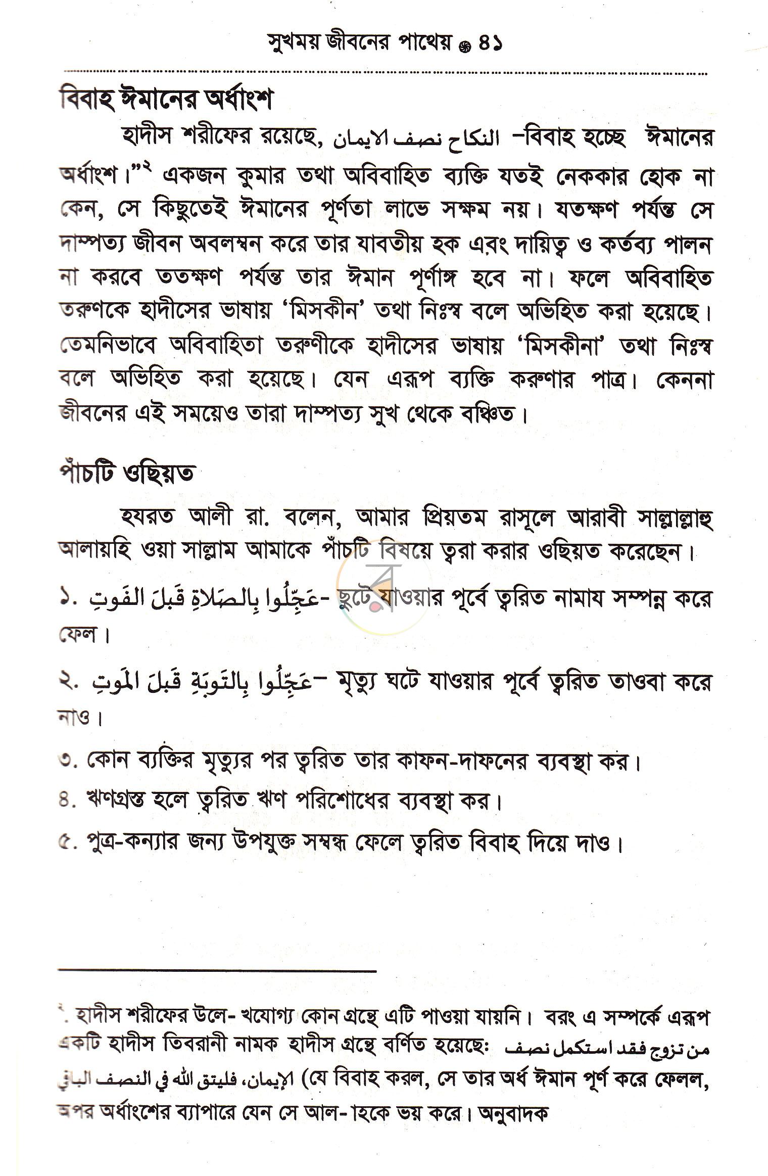 পাতা 13