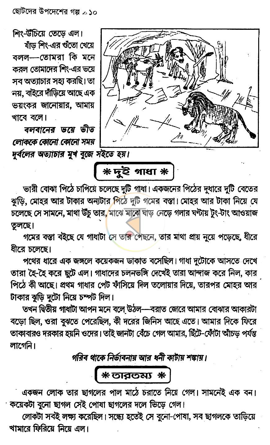 পাতা 9