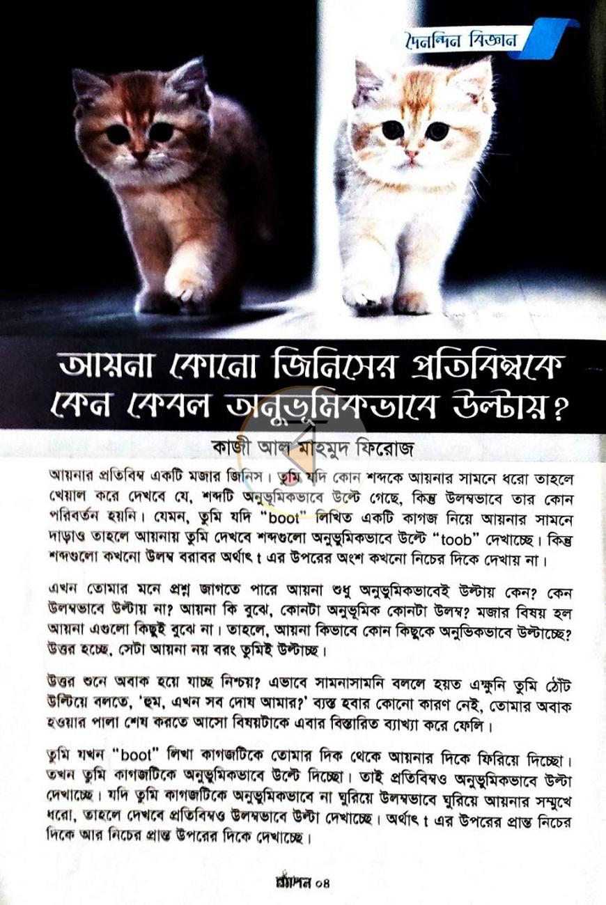 পাতা 13