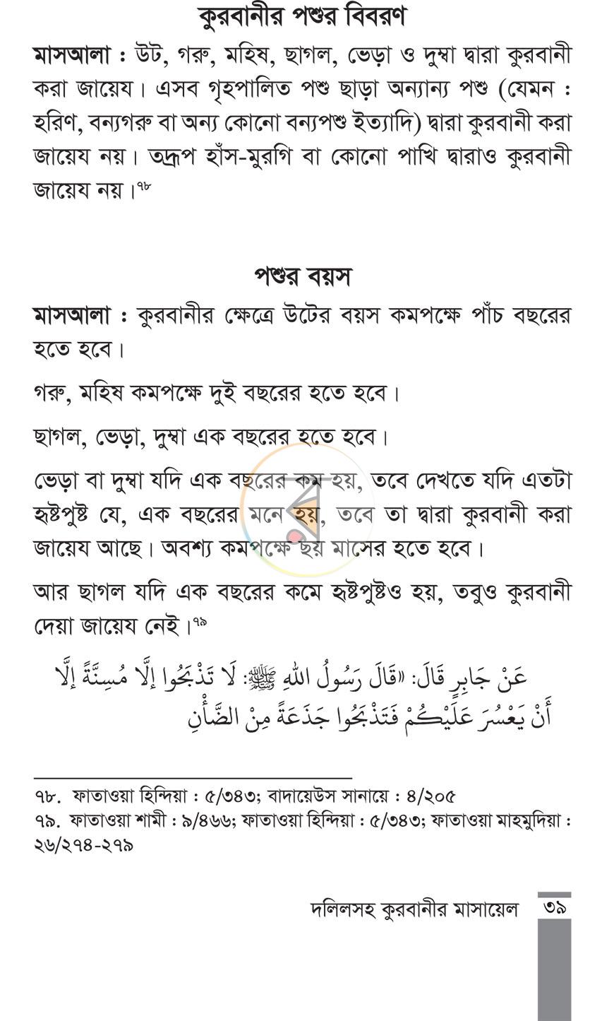 পাতা 11