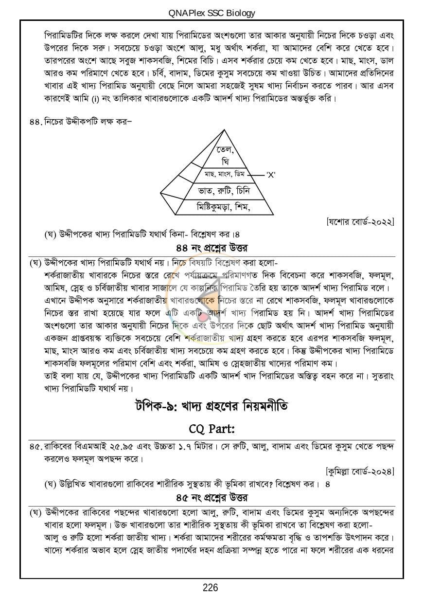পাতা 24