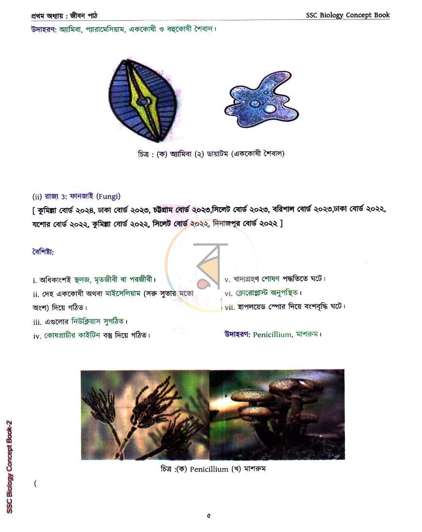 পাতা 6