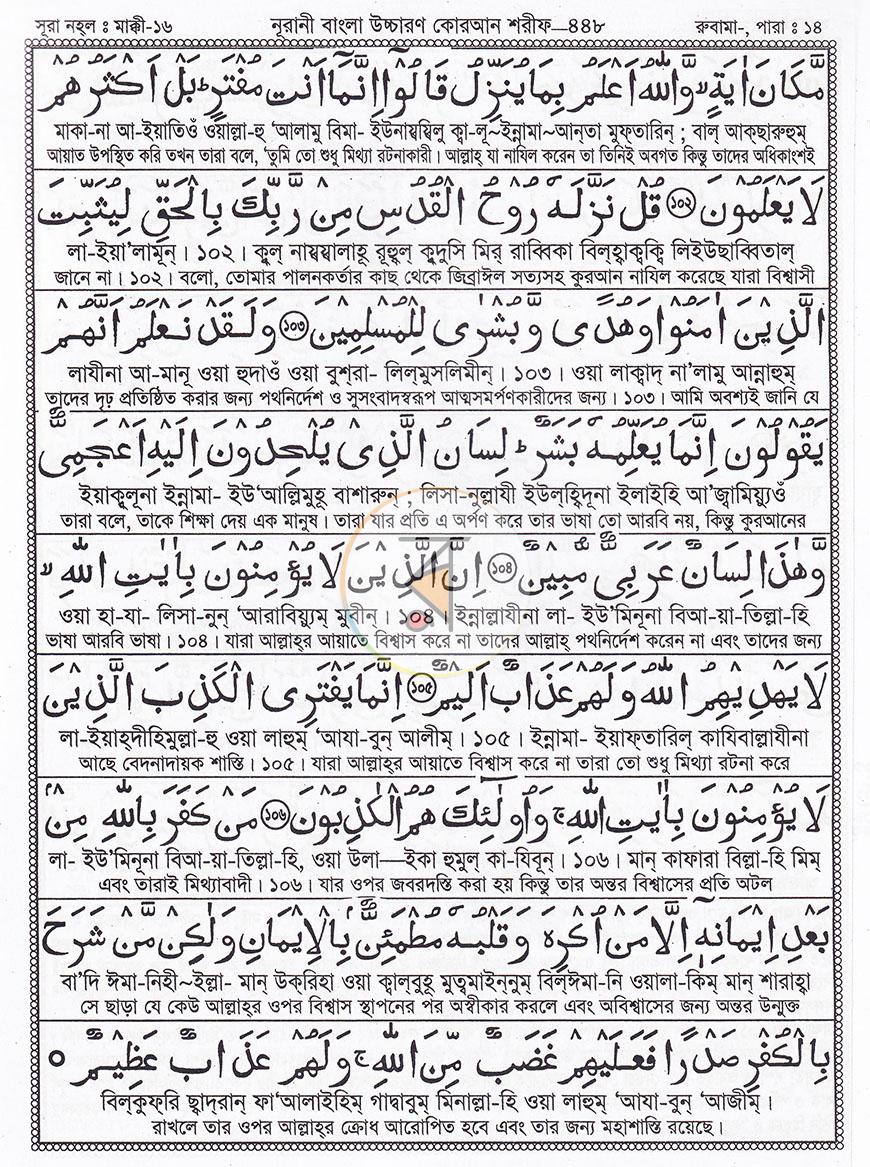 পাতা 8