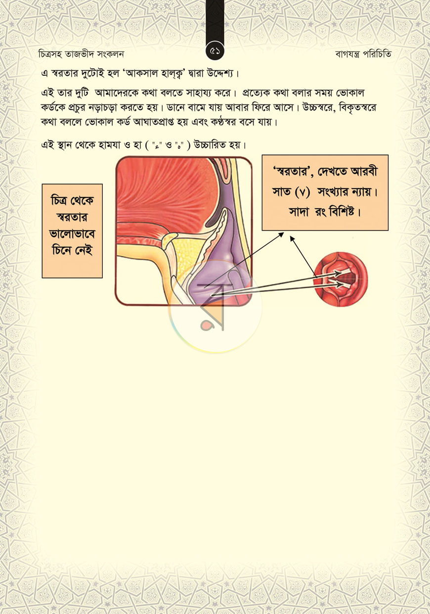 পাতা 15