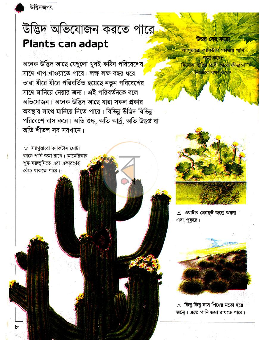 পাতা 4