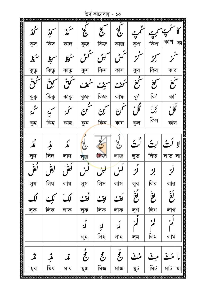 পাতা 11