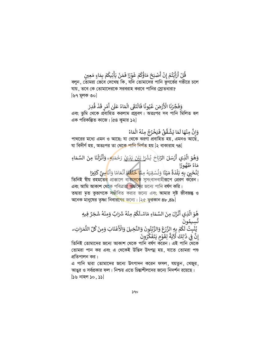 পাতা 169