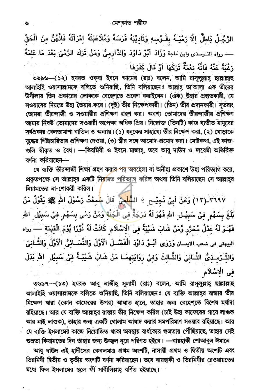 পাতা 8