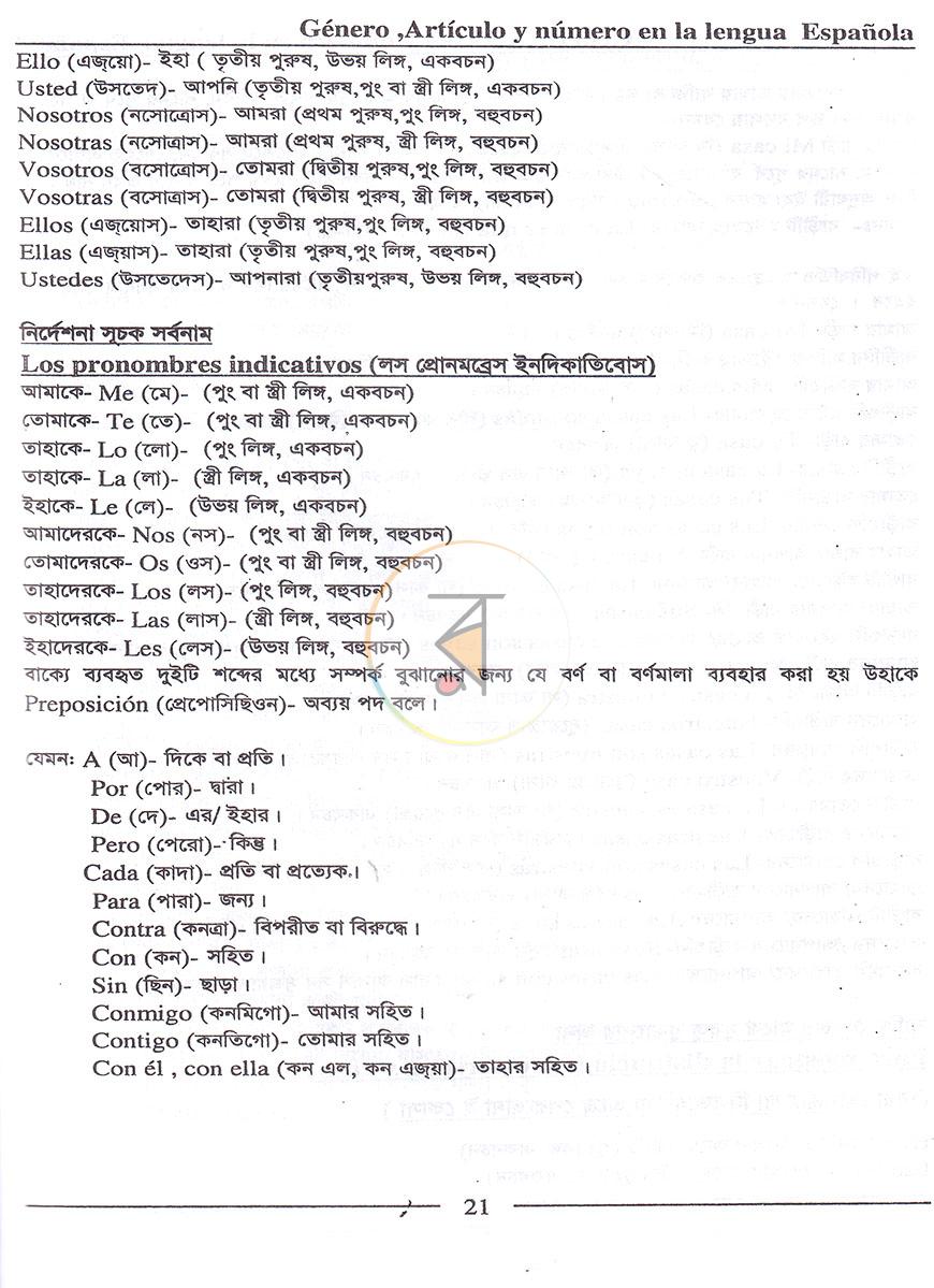 পাতা 13