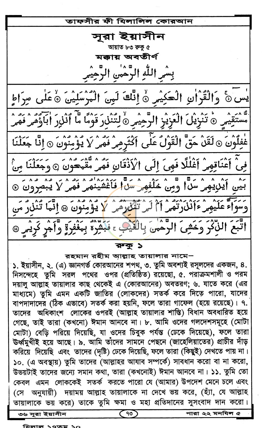 পাতা 8
