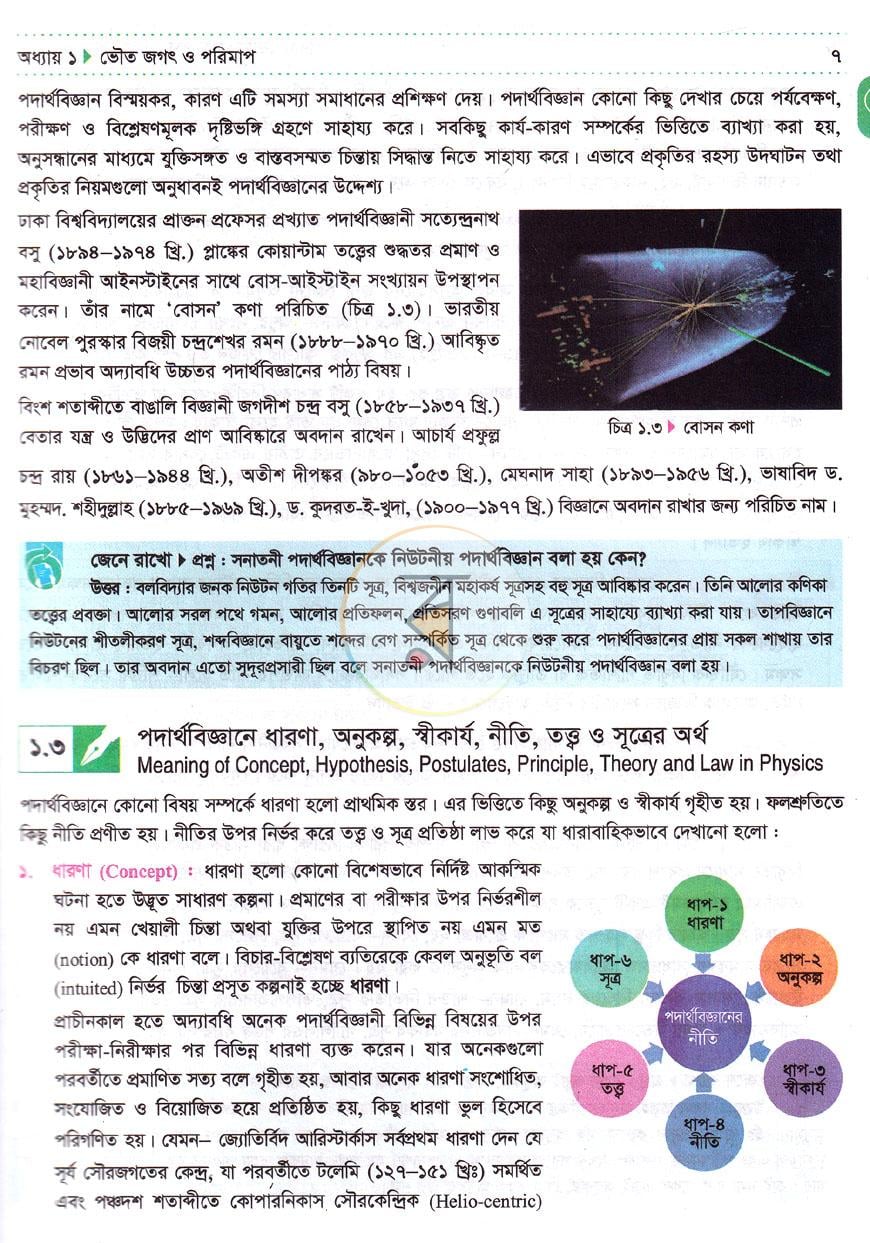 পাতা 11