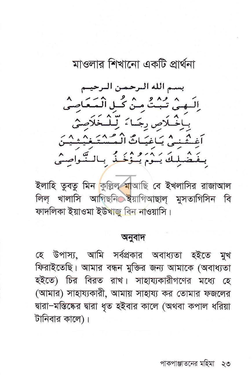 পাতা 11