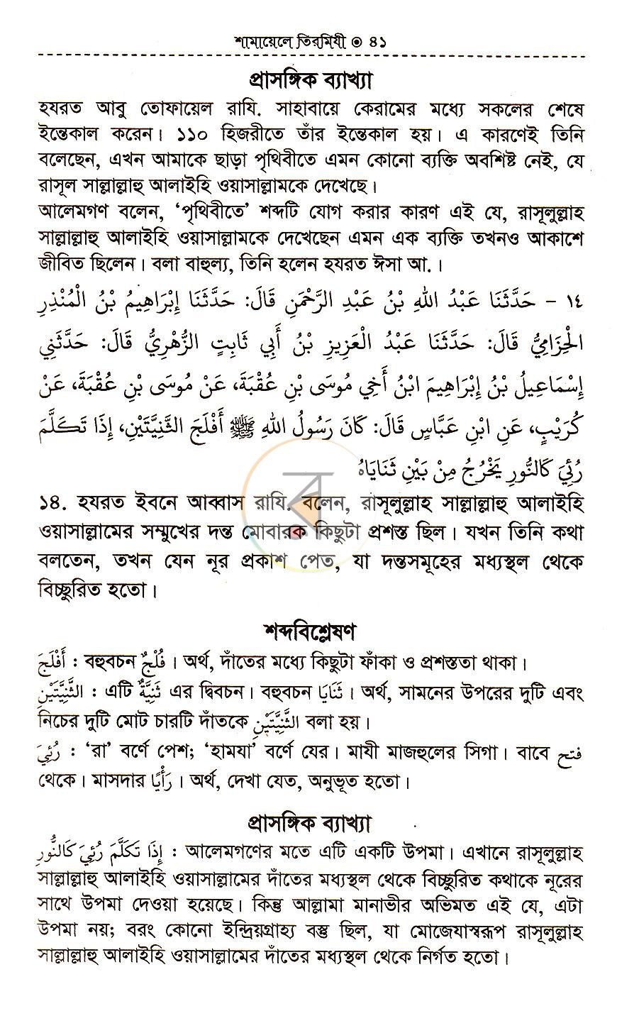 পাতা 13