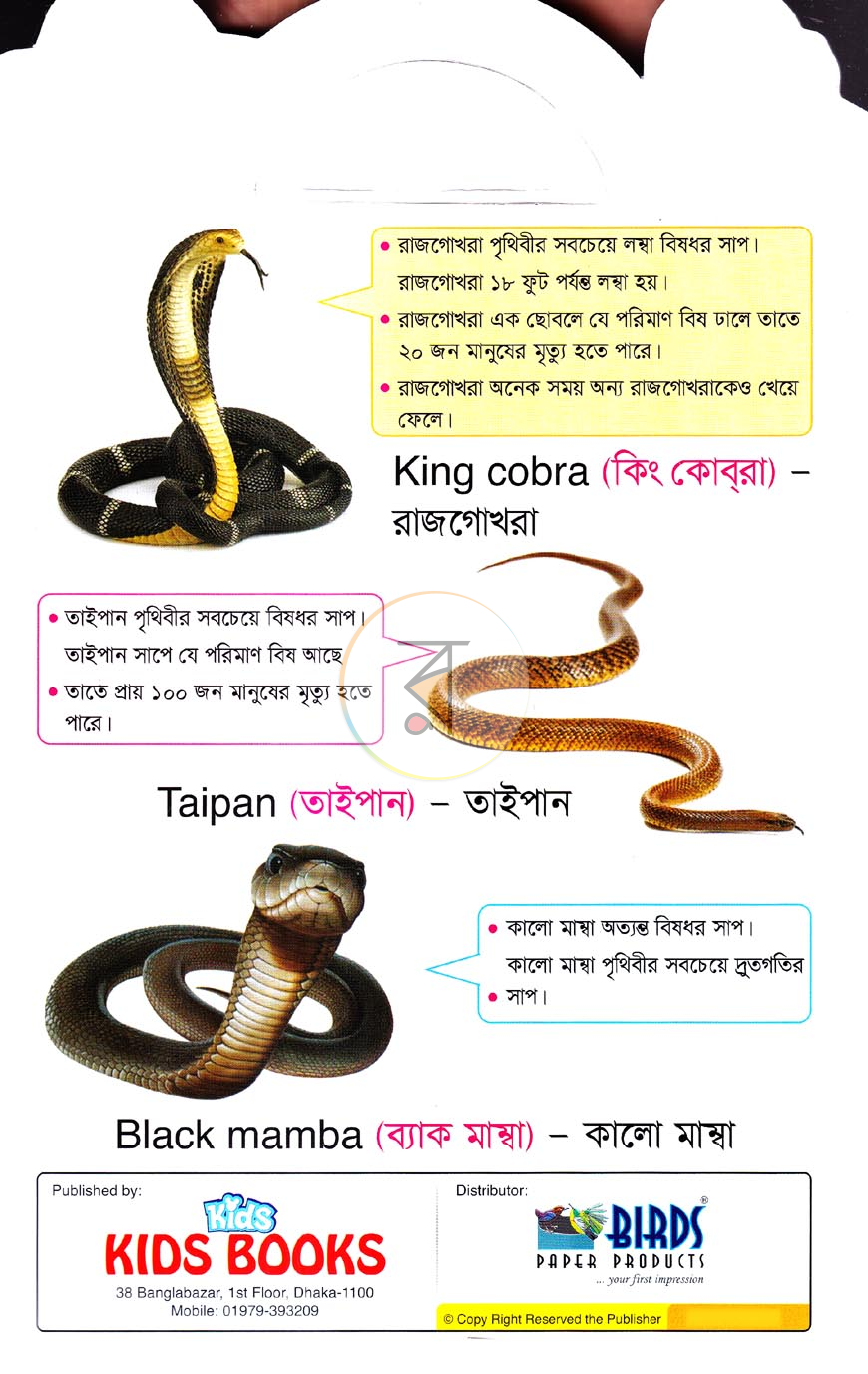 পাতা 4