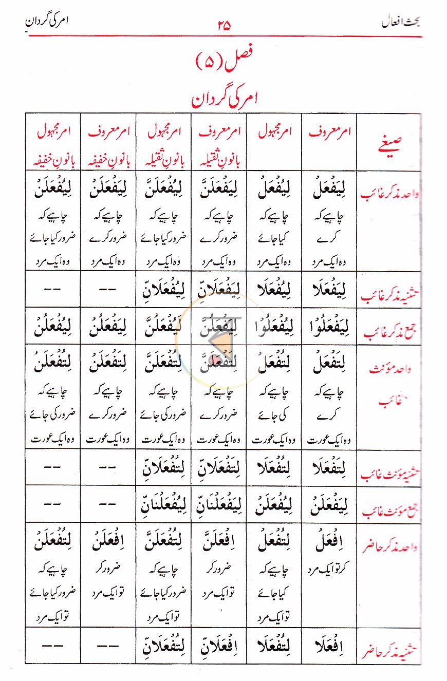 পাতা 10