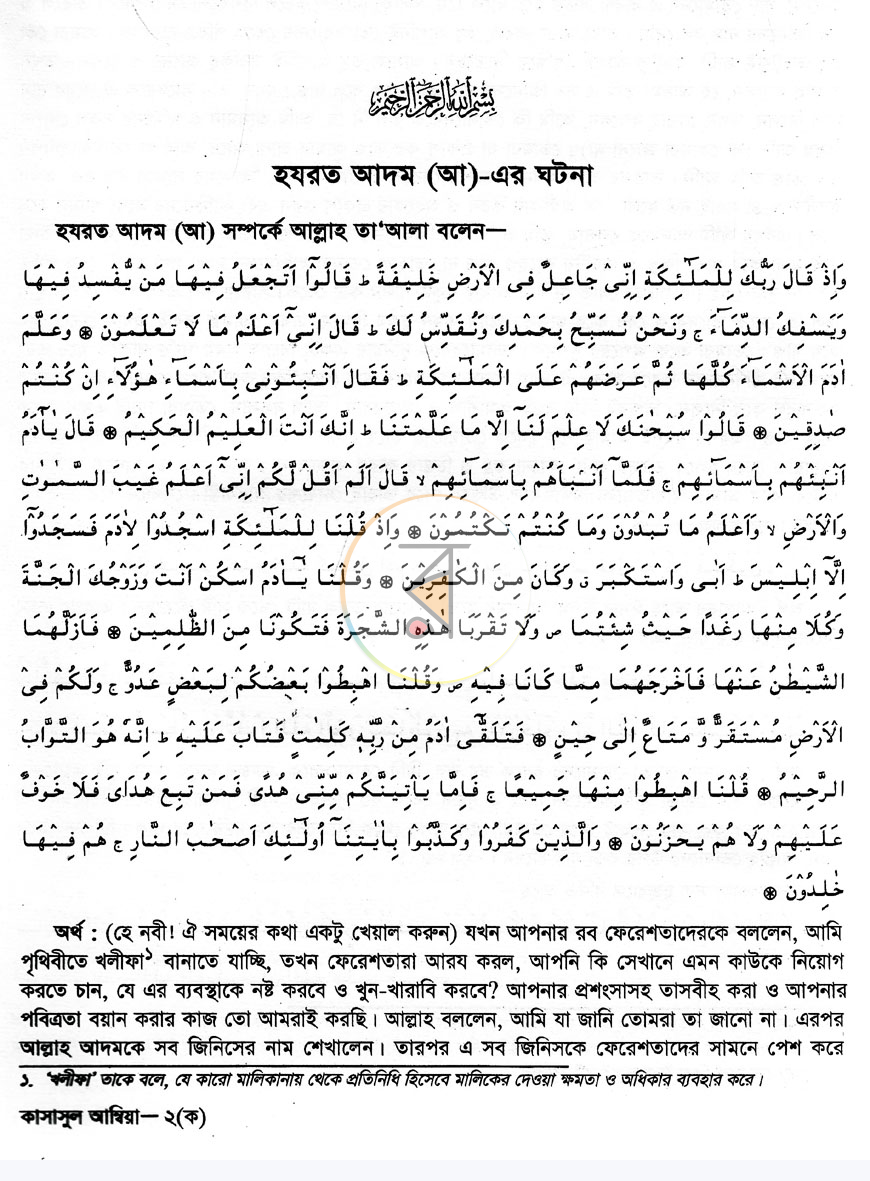 পাতা 8