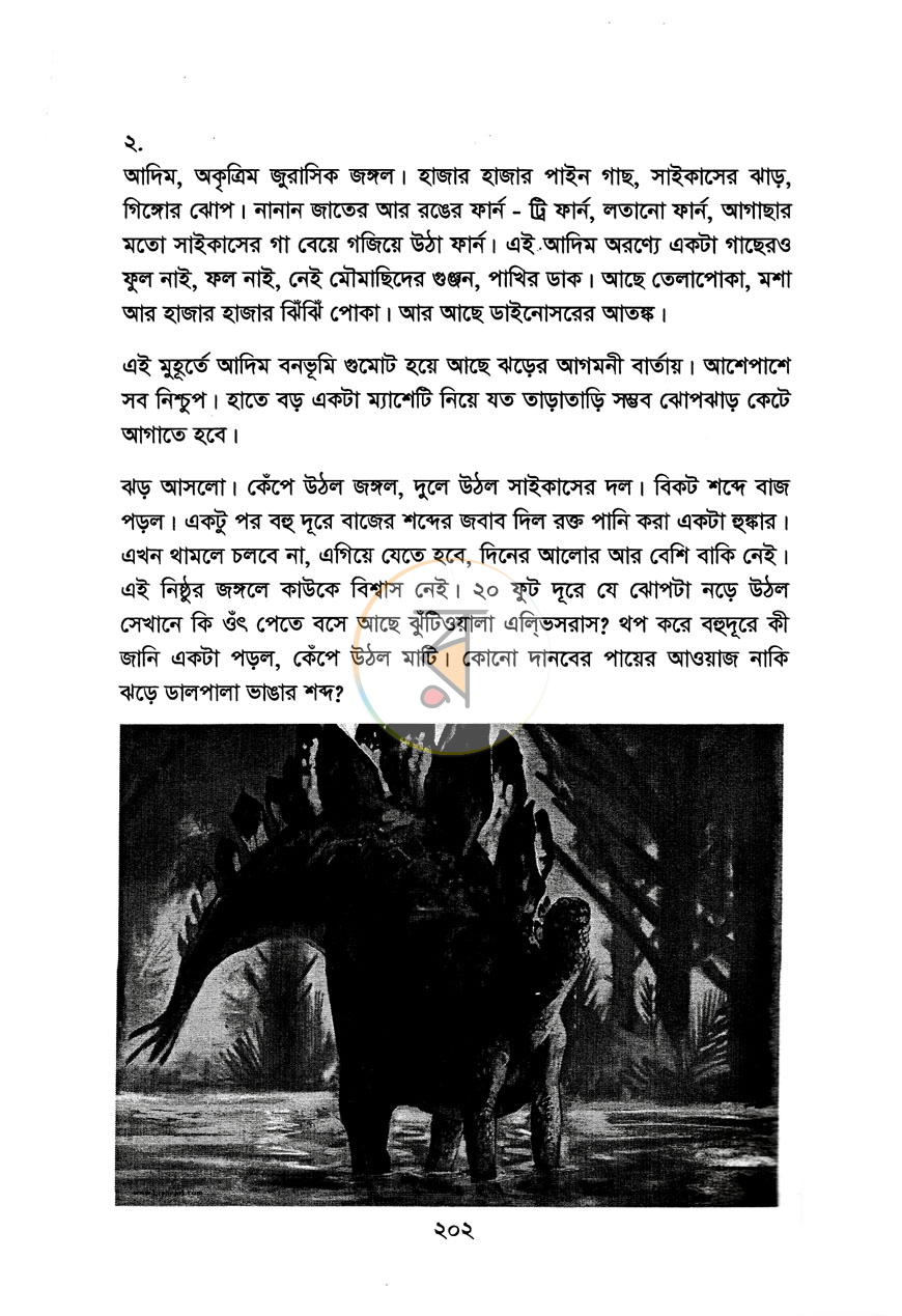 পাতা 13