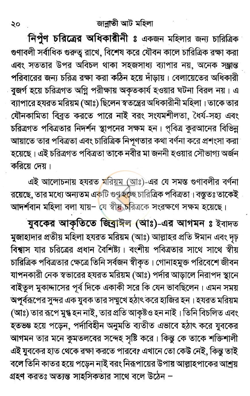 পাতা 11