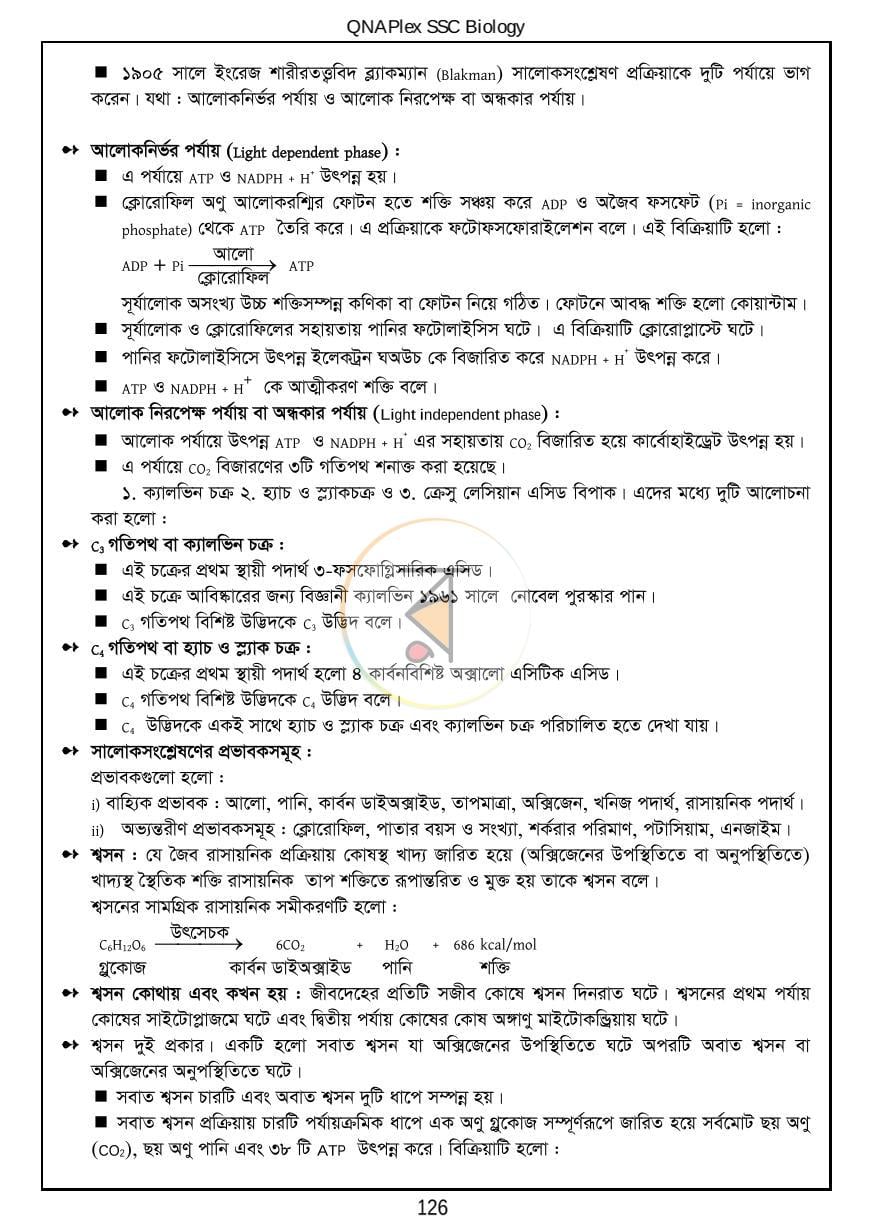 পাতা 15