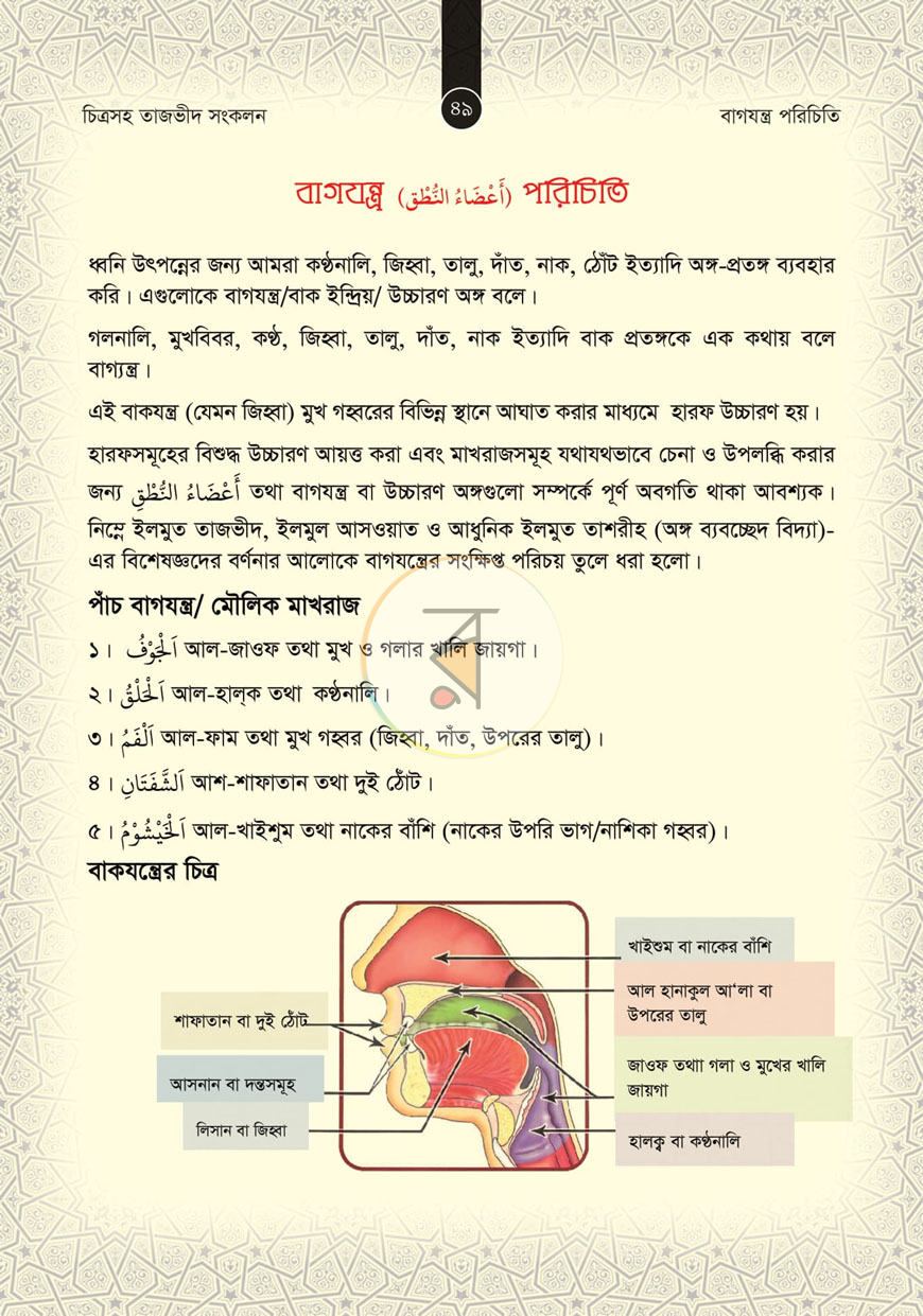 পাতা 13
