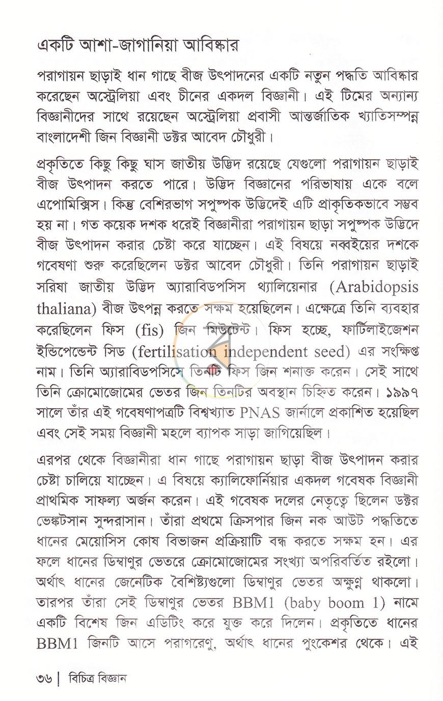পাতা 11