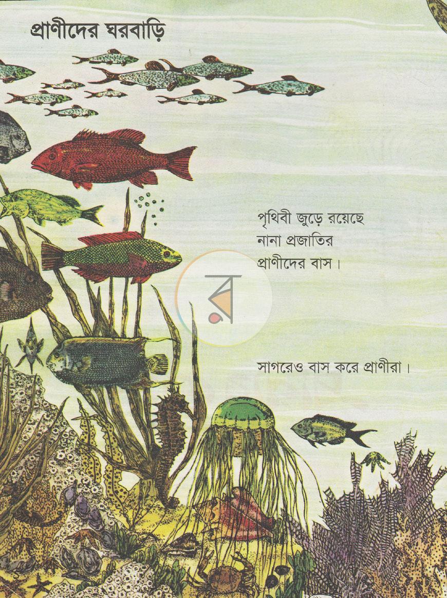 পাতা 2