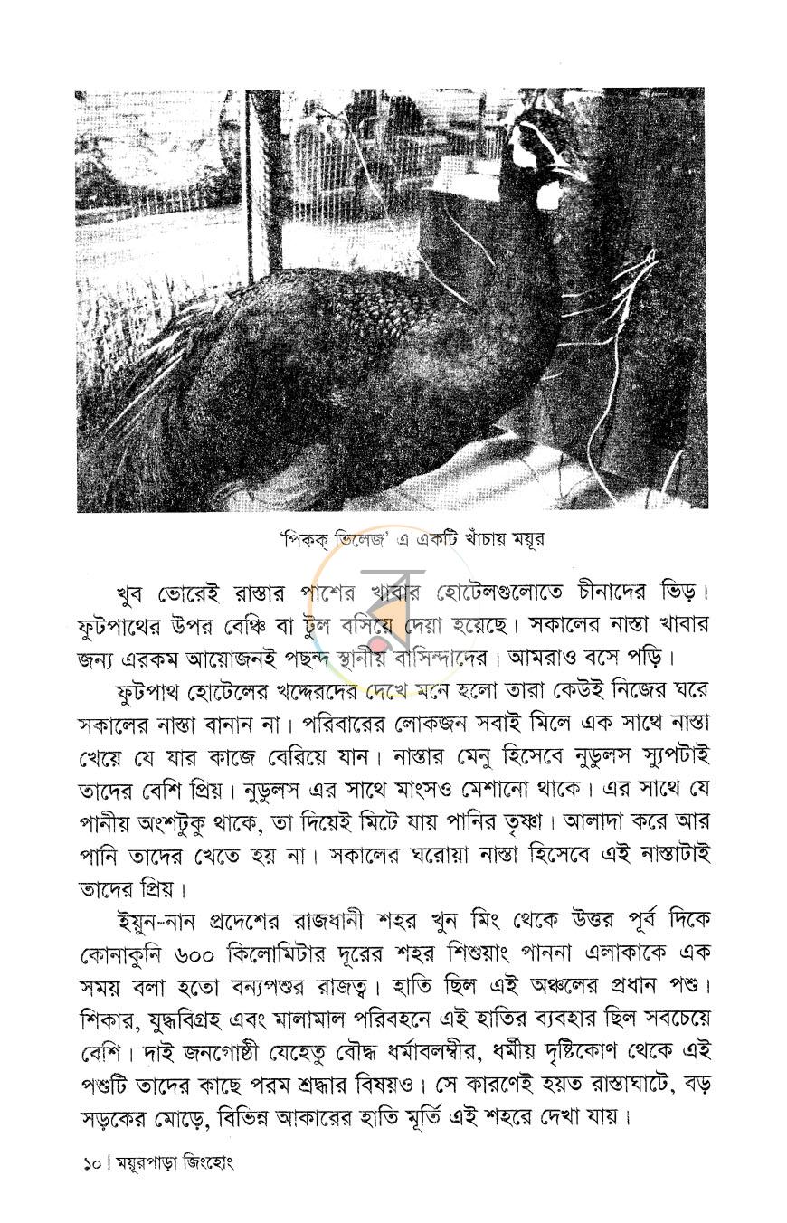 পাতা 6