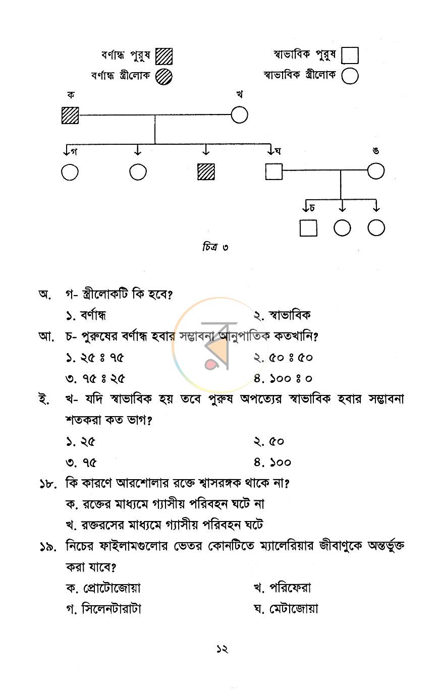 পাতা 7