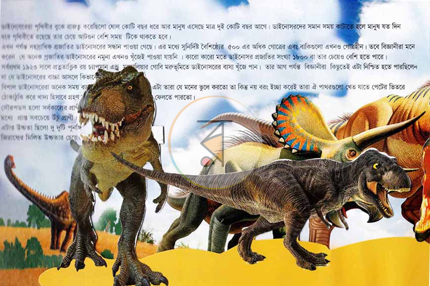 পাতা 3