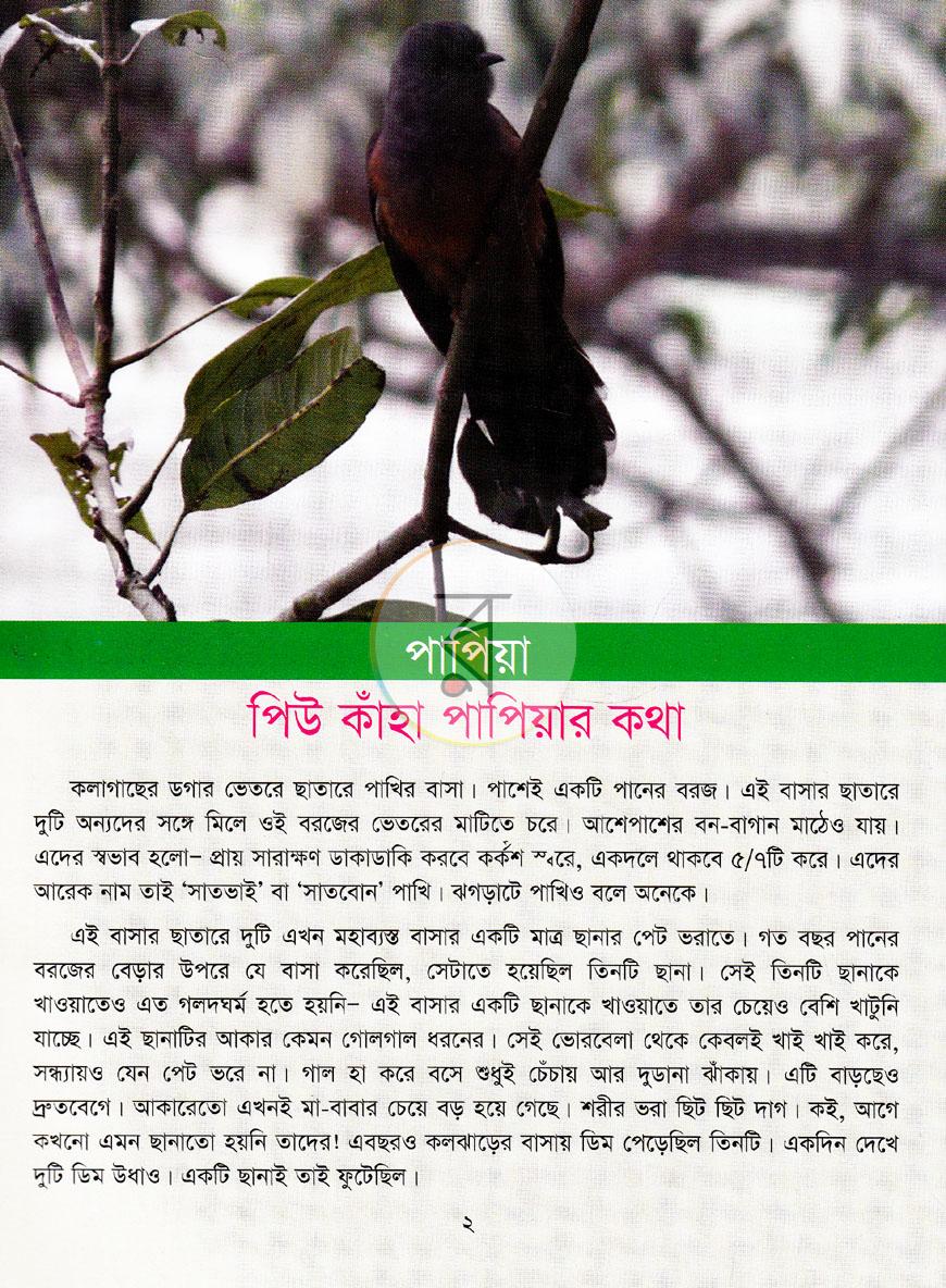 পাতা 2