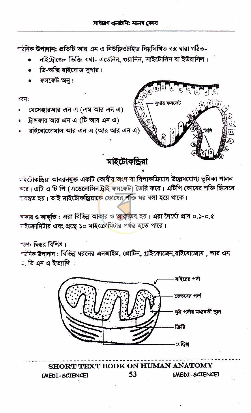 পাতা 18