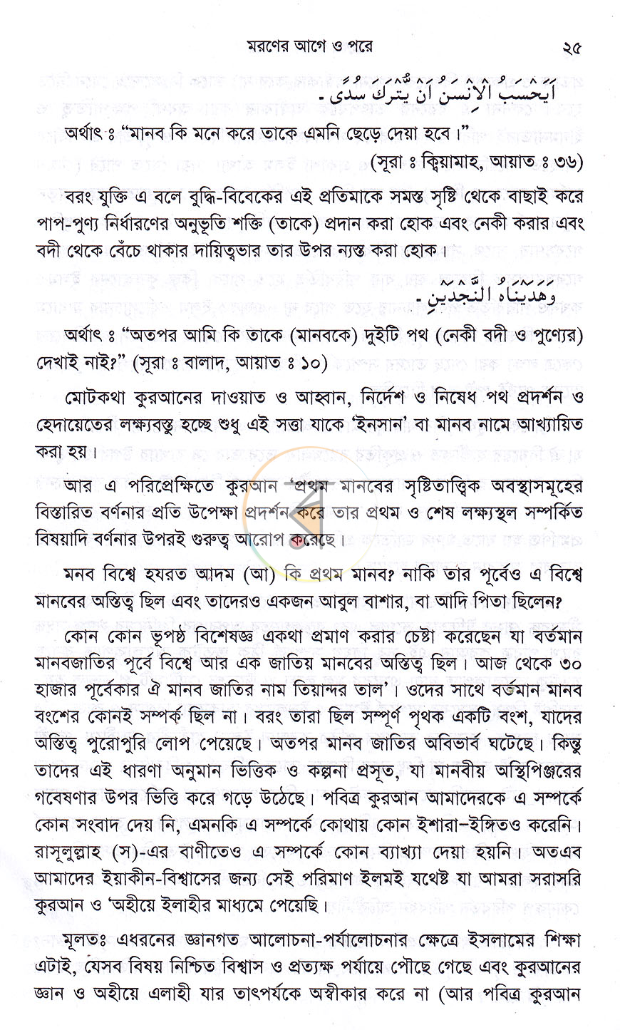 পাতা 13
