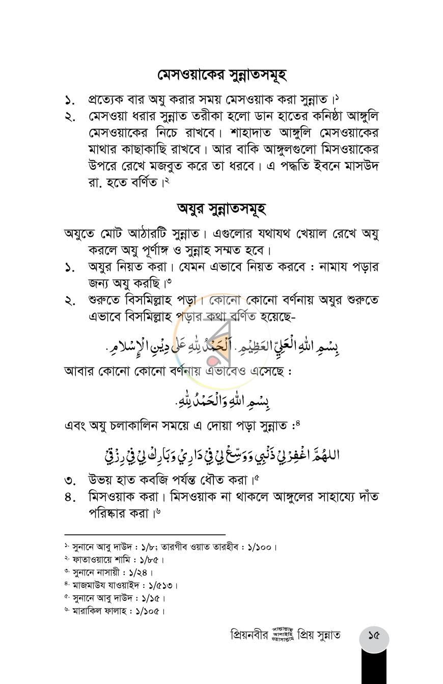 পাতা 15