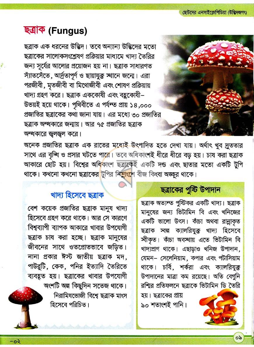 পাতা 8