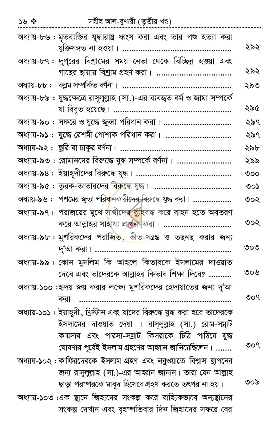পাতা 13